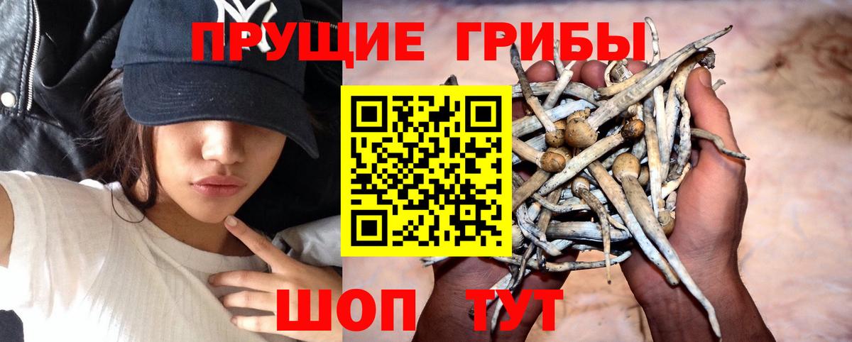 Галлюциногенные грибы мухоморы  Галлюциногенные грибы Psilocybine cubensis  Янаул  Вход с VPN 
